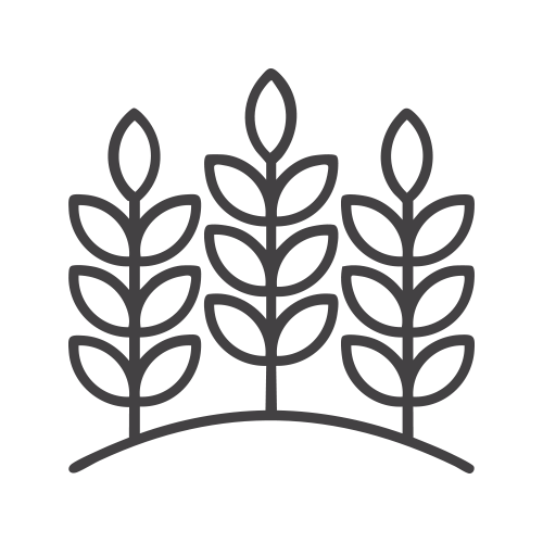 agrifood-icon