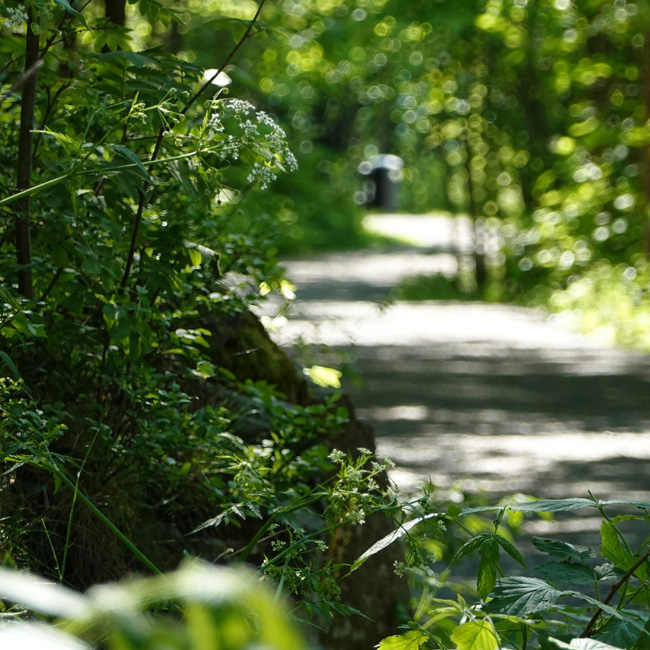 Parks and Trails